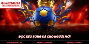 đọc kèo bóng đá cho người mới
