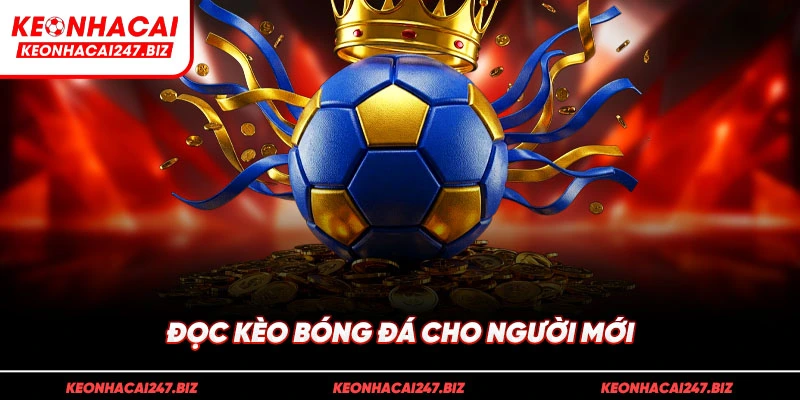 đọc kèo bóng đá cho người mới