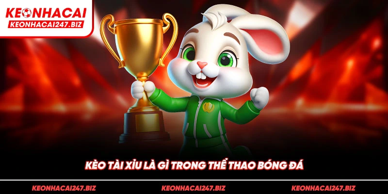 Kèo tài xỉu là gì trong thể thao bóng đá