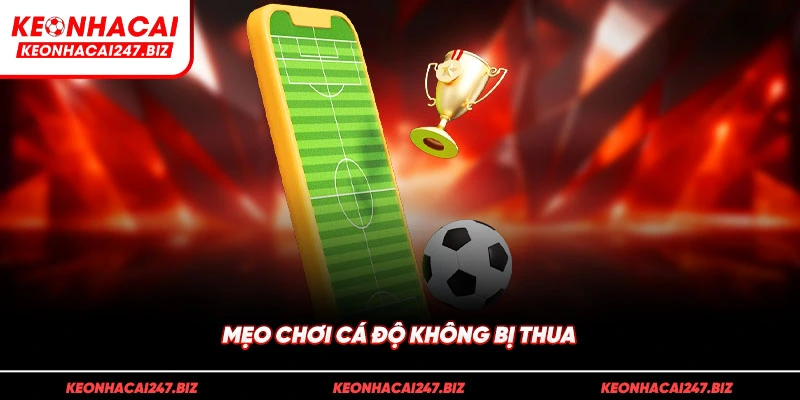 mẹo chơi cá độ không bị thua