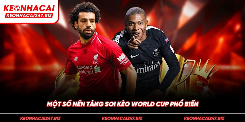 Một số nền tảng soi kèo world cup phổ biến