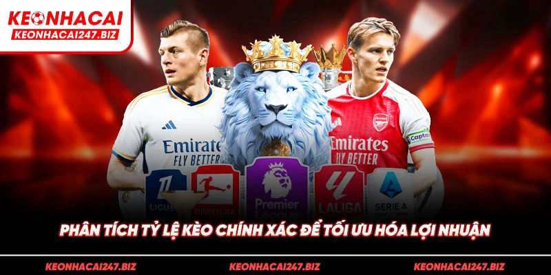 Phân tích tỷ lệ kèo chính xác để tối ưu hóa lợi nhuận