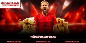 Tiểu sử Harry Kane